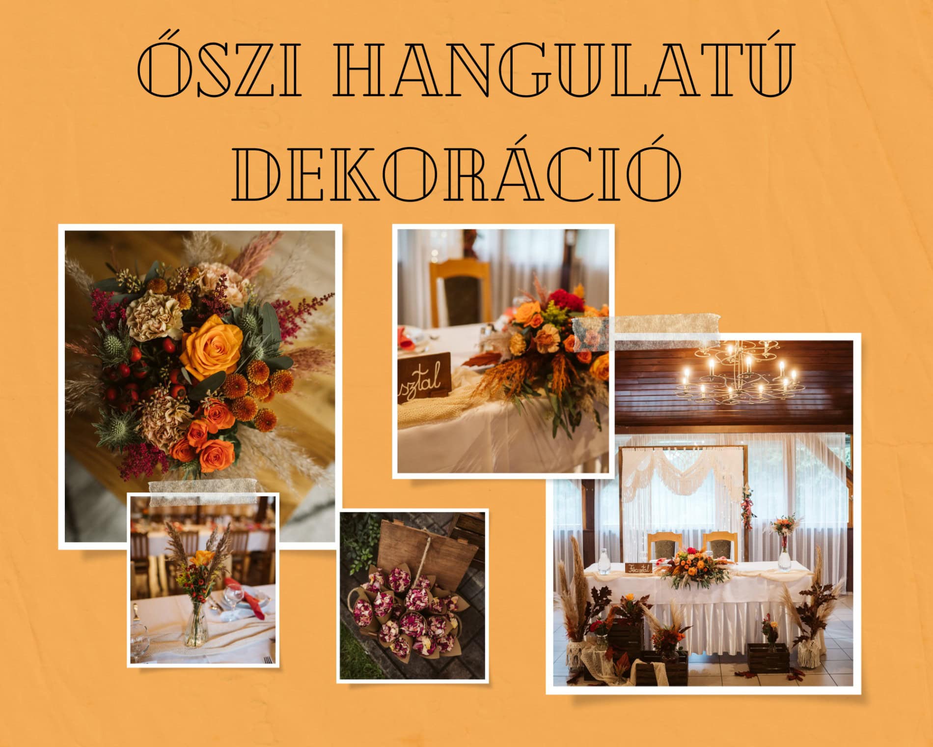 4_20230129_113525_0003