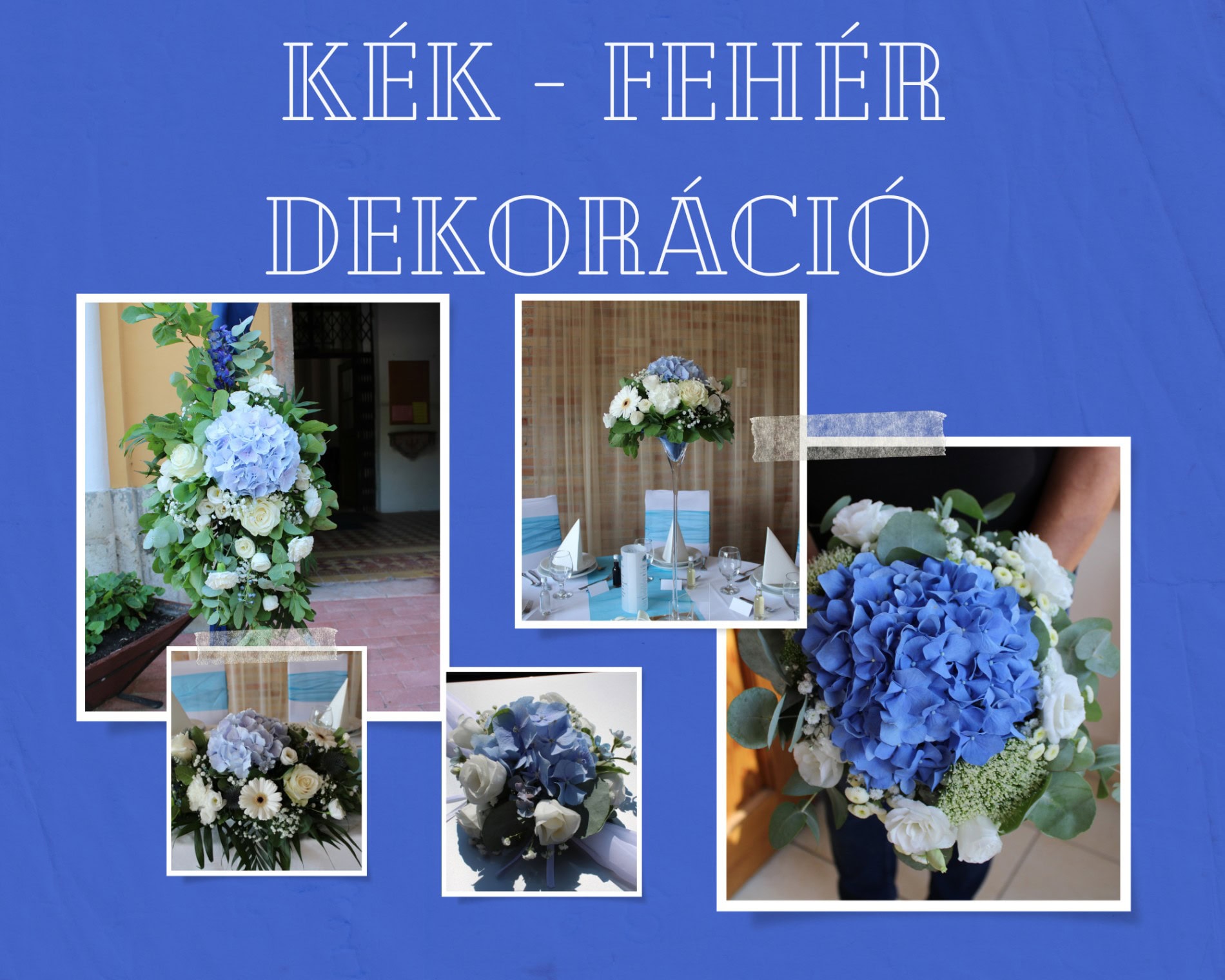 6_20230129_113525_0005